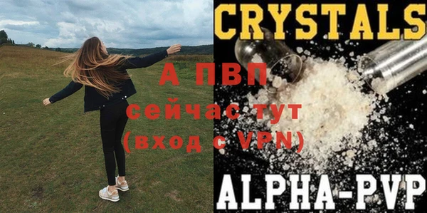 ПСИЛОЦИБИНОВЫЕ ГРИБЫ Зерноград