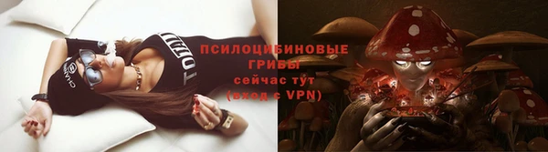 прущие крисы Заводоуковск
