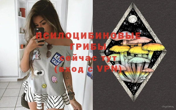 spice Зеленокумск