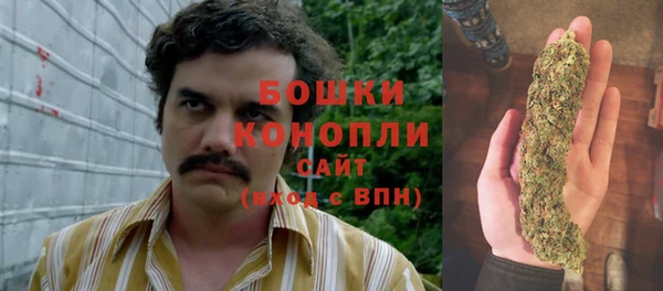 гидра Заволжск