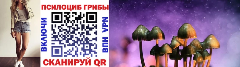 Купить  Томари  Галлюциногенные грибы Psilocybe 
