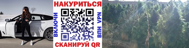 Конопля конопля  Купить где  Томари 